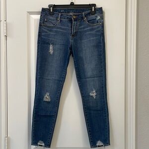 Articles of Society Distressed Skinny Jeans